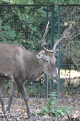 Tierpark Berlin