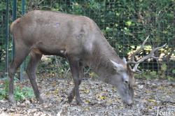 Tierpark Berlin