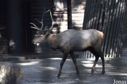 Tierpark Berlin