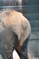 Tierpark Berlin