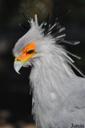 Tierpark Berlin