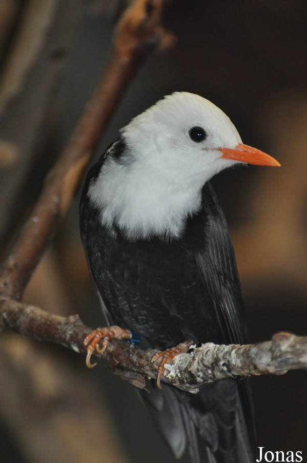 Tierpark Berlin