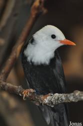 Tierpark Berlin