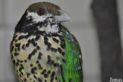 Tierpark Berlin