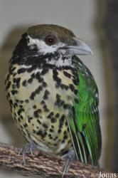 Tierpark Berlin