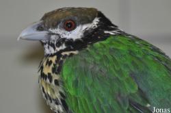 Tierpark Berlin