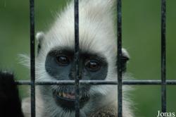Shanghai Zoo
