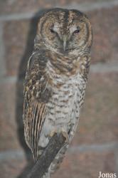 Tierpark Berlin