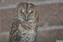 Tierpark Berlin