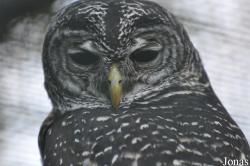 Tierpark Berlin
