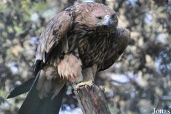 Tierpark Berlin