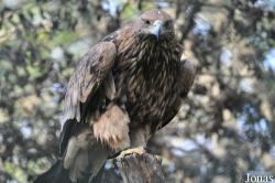 Tierpark Berlin