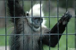 Shanghai Zoo