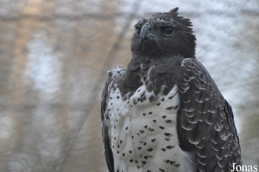 Tierpark Berlin
