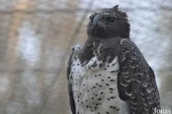 Tierpark Berlin