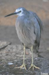 Tierpark Berlin
