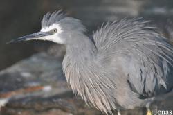Tierpark Berlin