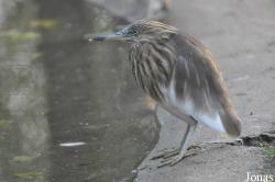 Tierpark Berlin