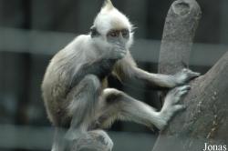 Shanghai Zoo