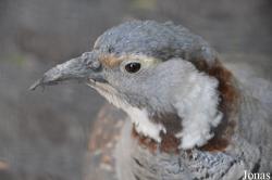 Tierpark Berlin