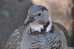Tierpark Berlin