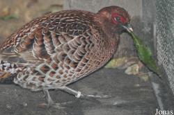 Tierpark Berlin