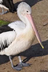 Tierpark Berlin
