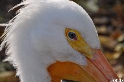 Tierpark Berlin