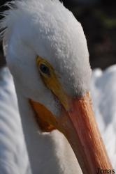 Tierpark Berlin