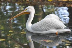 Tierpark Berlin