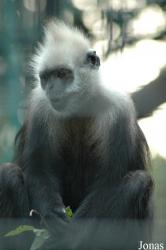 Shanghai Zoo