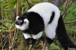 Tierpark Berlin