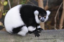 Tierpark Berlin