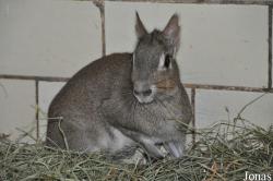 Tierpark Berlin
