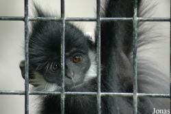 Shanghai Zoo