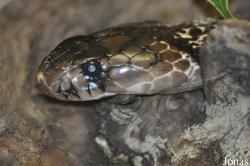 Tierpark Berlin