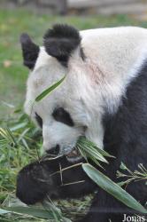 Zoo Berlin