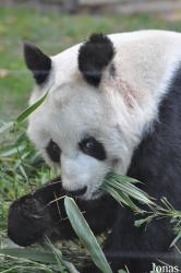 Zoo Berlin