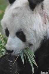Zoo Berlin