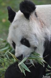 Zoo Berlin