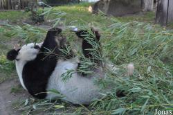 Zoo Berlin