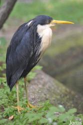 Zoo Berlin