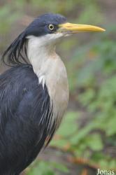 Zoo Berlin