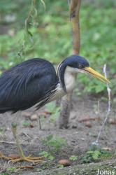 Zoo Berlin
