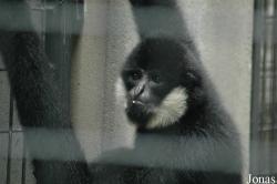 Shanghai Zoo