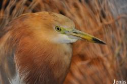 Zoo Berlin