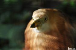 Zoo Berlin