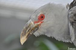 Zoo Berlin