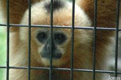 Shanghai Zoo