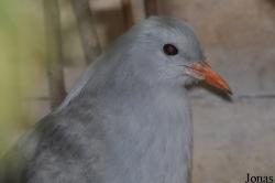 Zoo Berlin